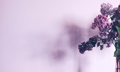 【說明會花絮】正念自我慈悲八週課程