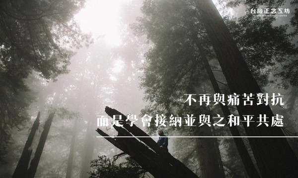 不再與痛苦對抗,而是學會接納並與之和平共處