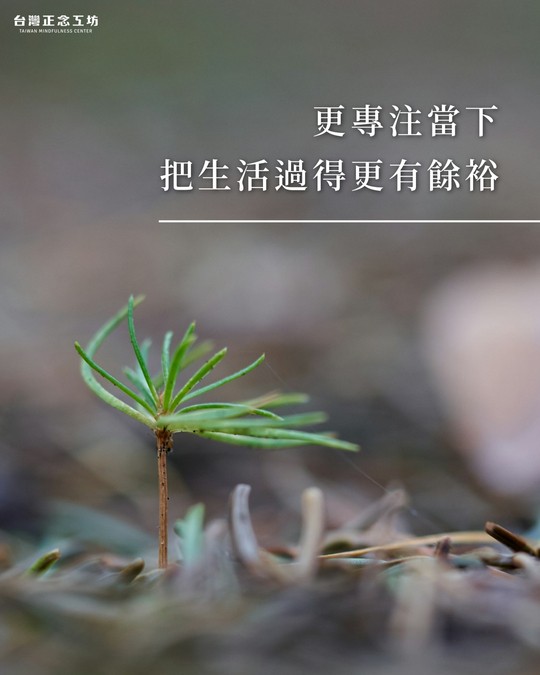 更專注當下、把生活過得更有餘裕