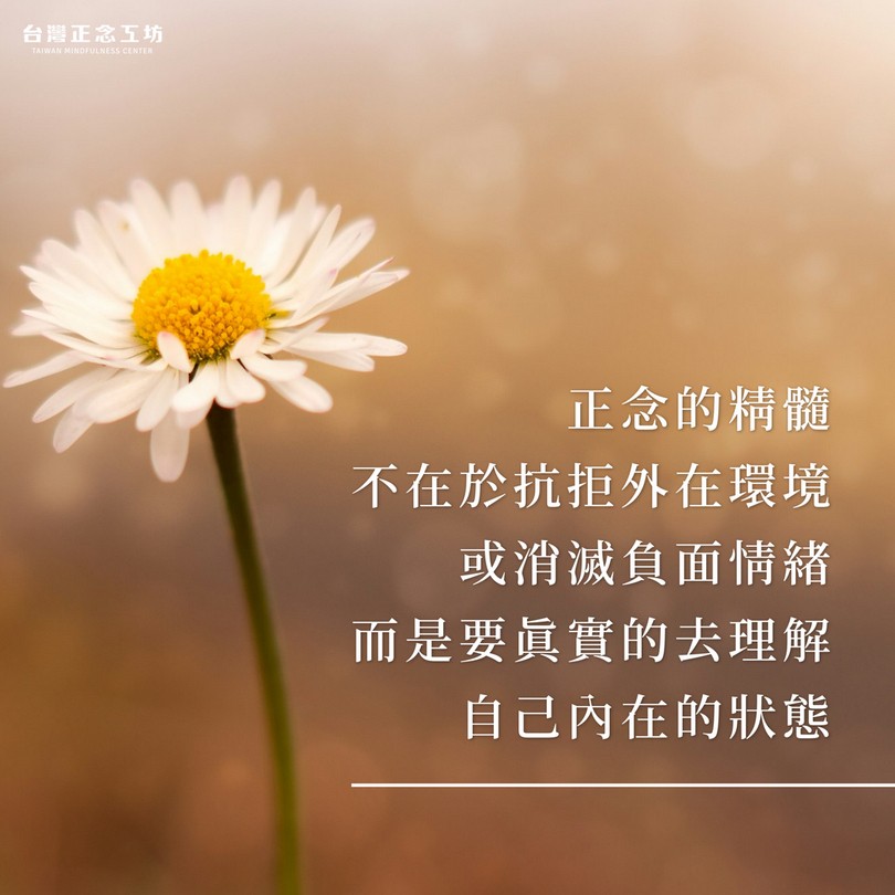 正念的精髓不在於抗拒外在環境或消滅負面情緒，而是要真實的去理解自己內在的狀態